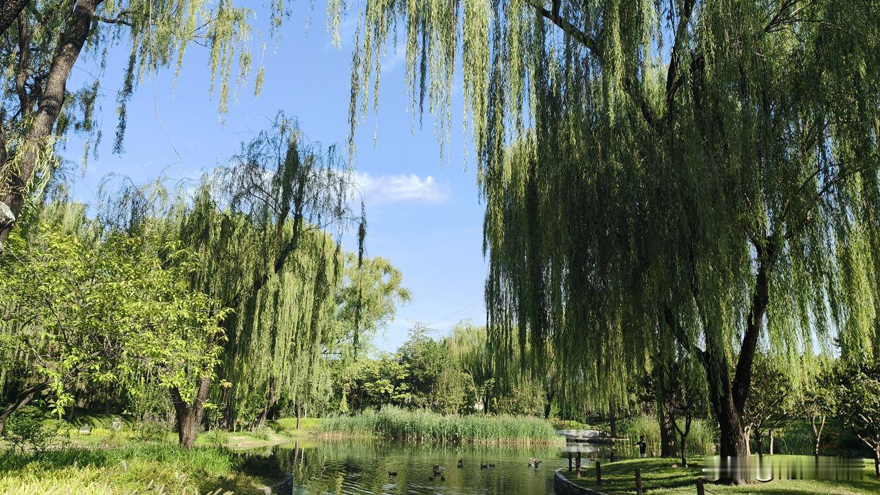 人到中年才懂：选错伴侣，是这辈子最难逃的劫难！
 
人不会因为孤身一人就活不下去