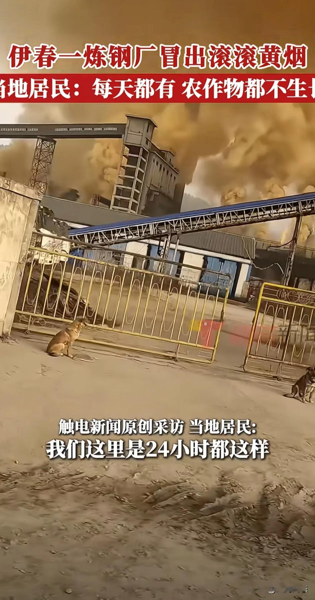 大家帮我看看这门前的是什么动物，
是人还是狗啊，毒烟遮天蔽日，当地黑龙江伊春某炼