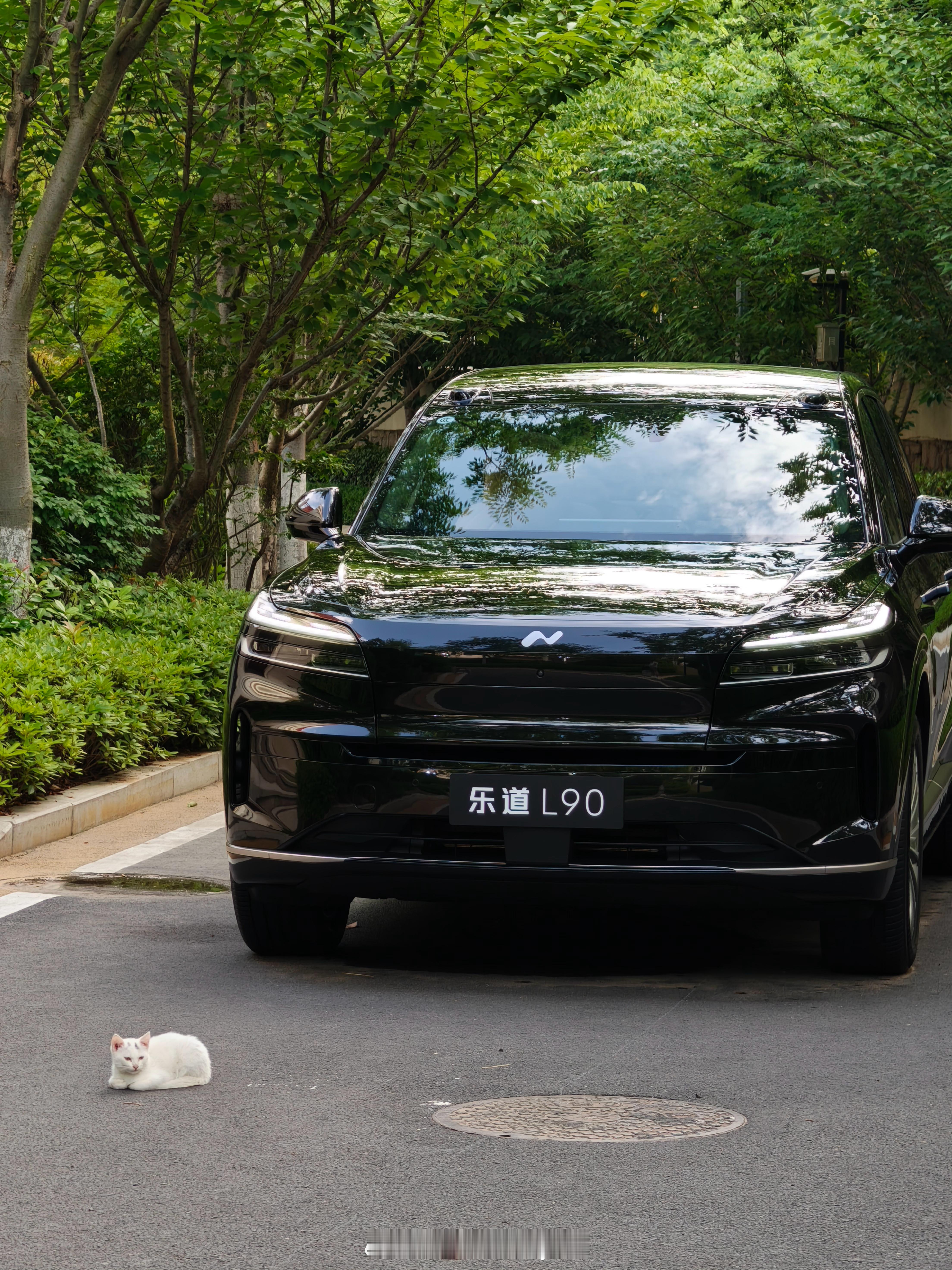 够不够大？我就不给大家拉预期了，免得招恨[doge] ​​​