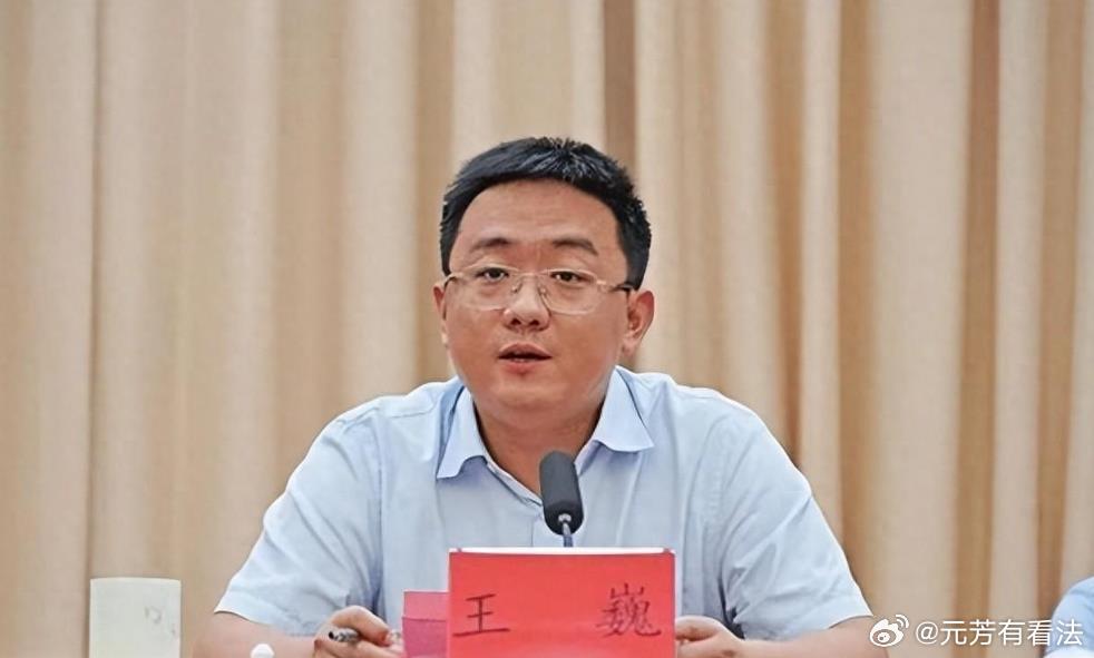云浮市副市长王巍还是蛮可惜的，年纪轻轻被赋以重任，到头来却没有坚守初心和底线，把