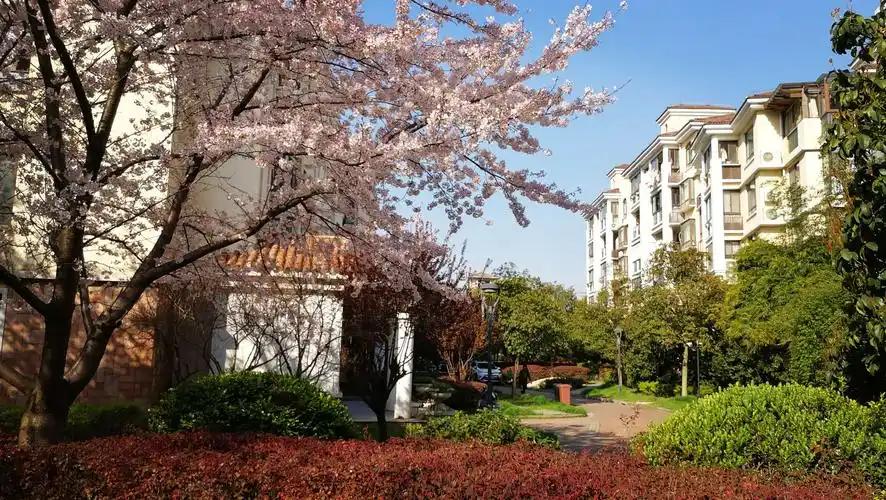 晒出你的本地生活