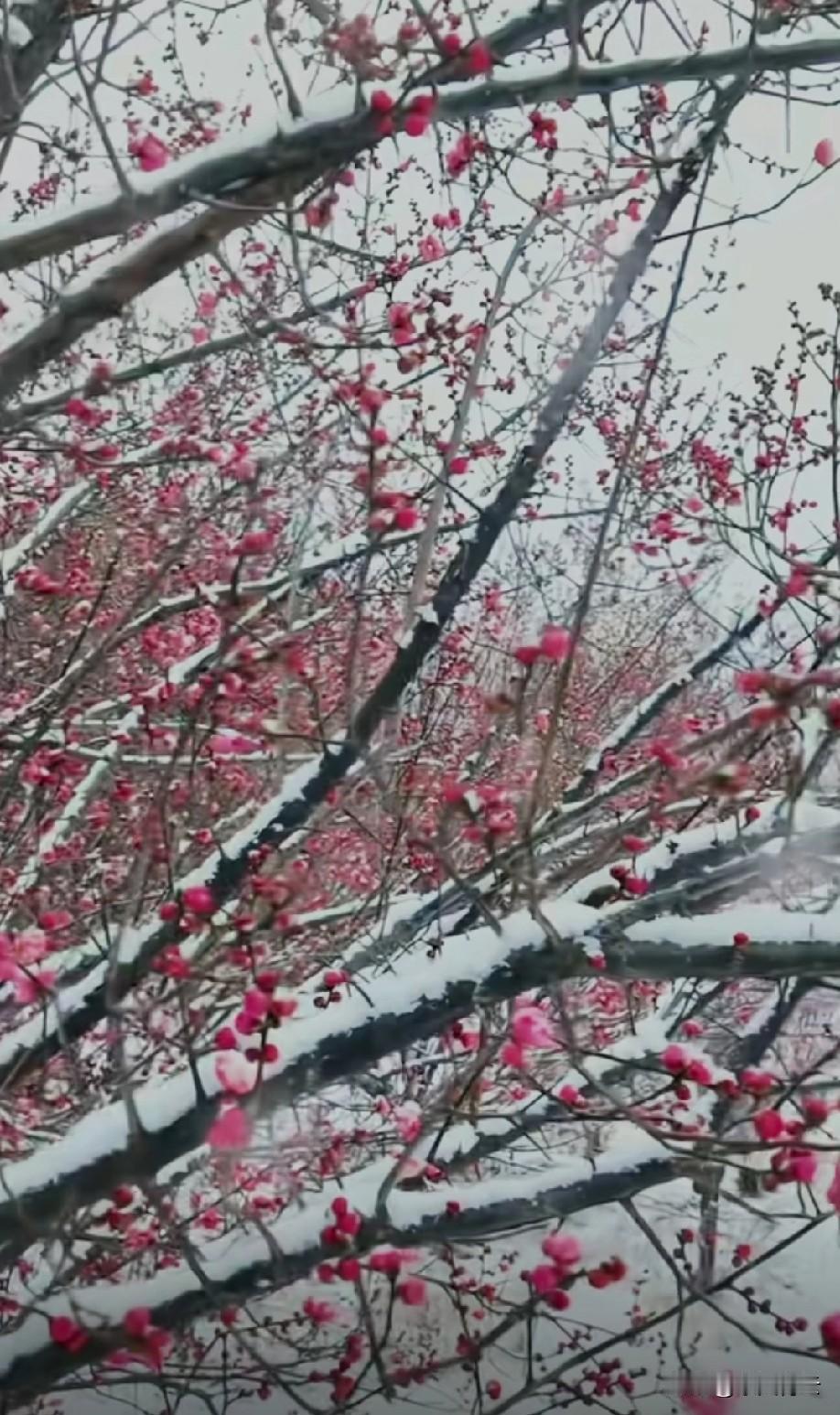 生活从不是温室，是磨心的道场，优胜劣汰的本质，是筛选内心的笃定与清醒。

从没有