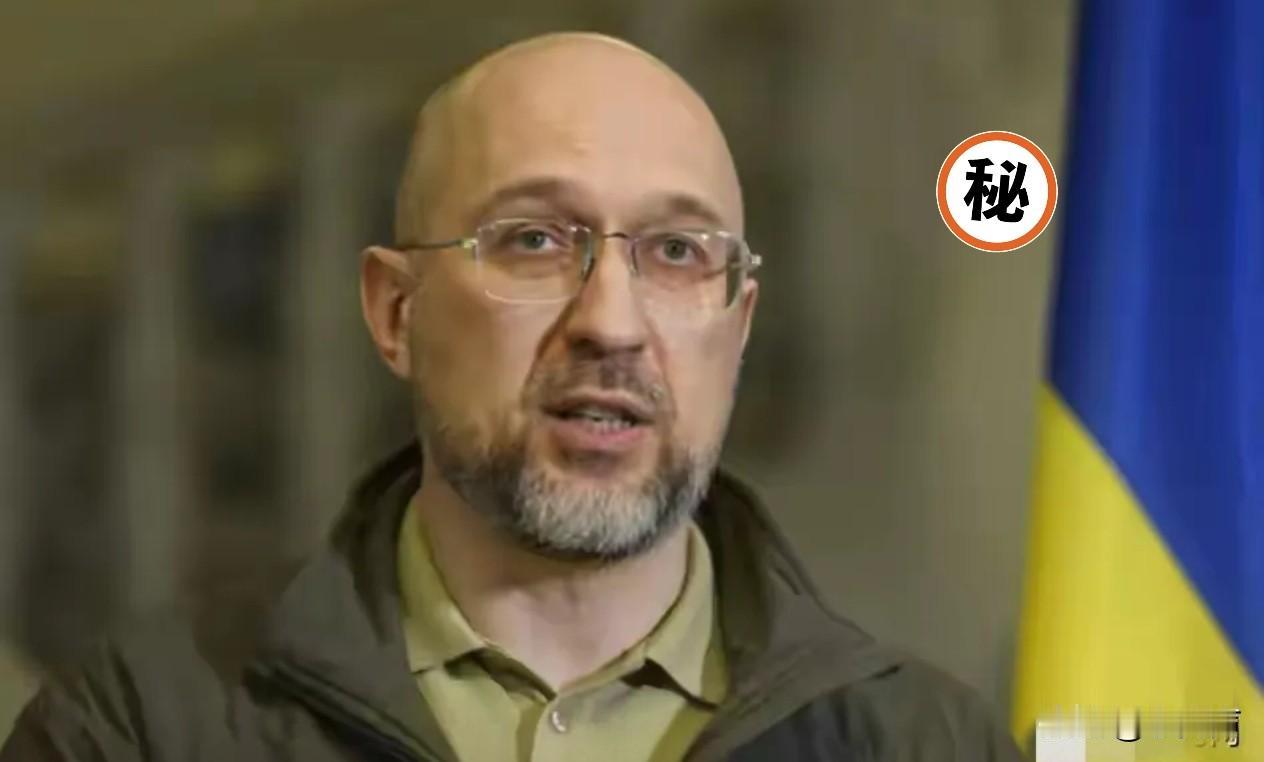 乌克兰又有振奋人心的好消息了，圣诞特大好消息啊。

一举拿下300万架FPV精确