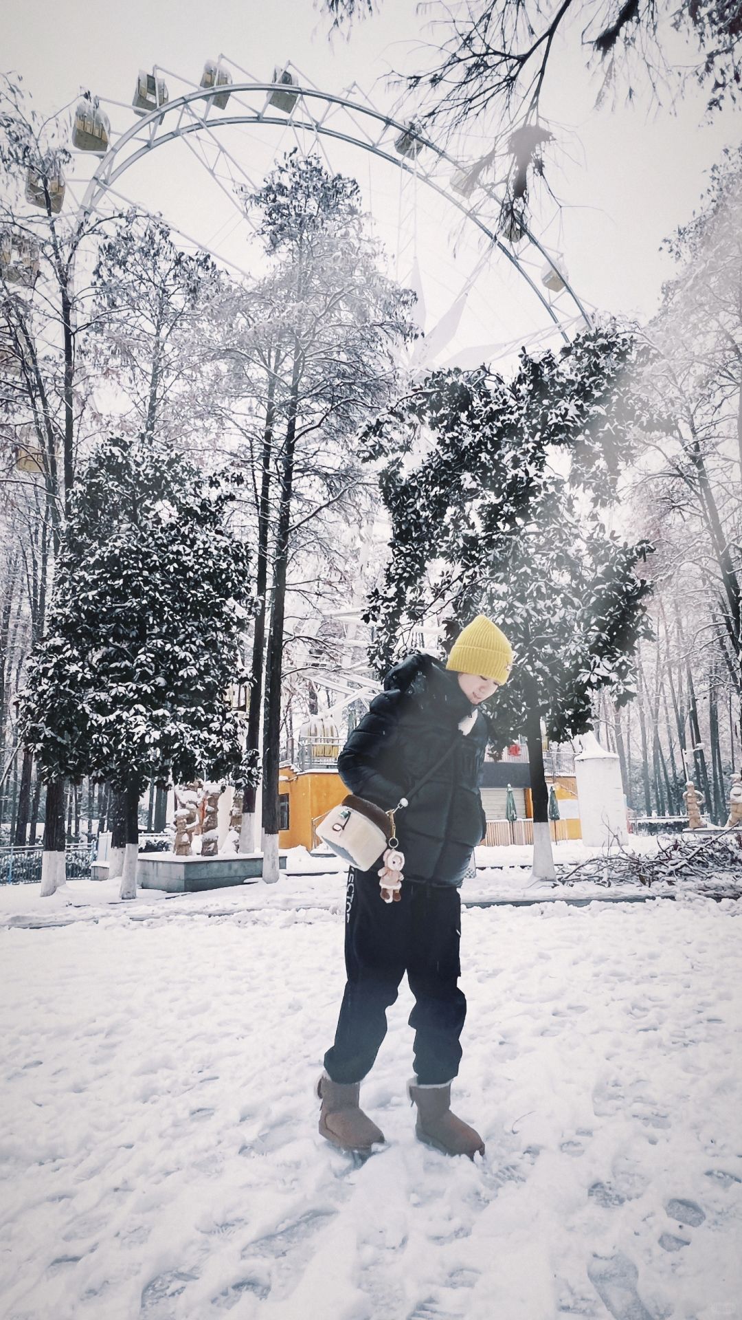 在武汉❗这个公园雪后真的有种宿命感