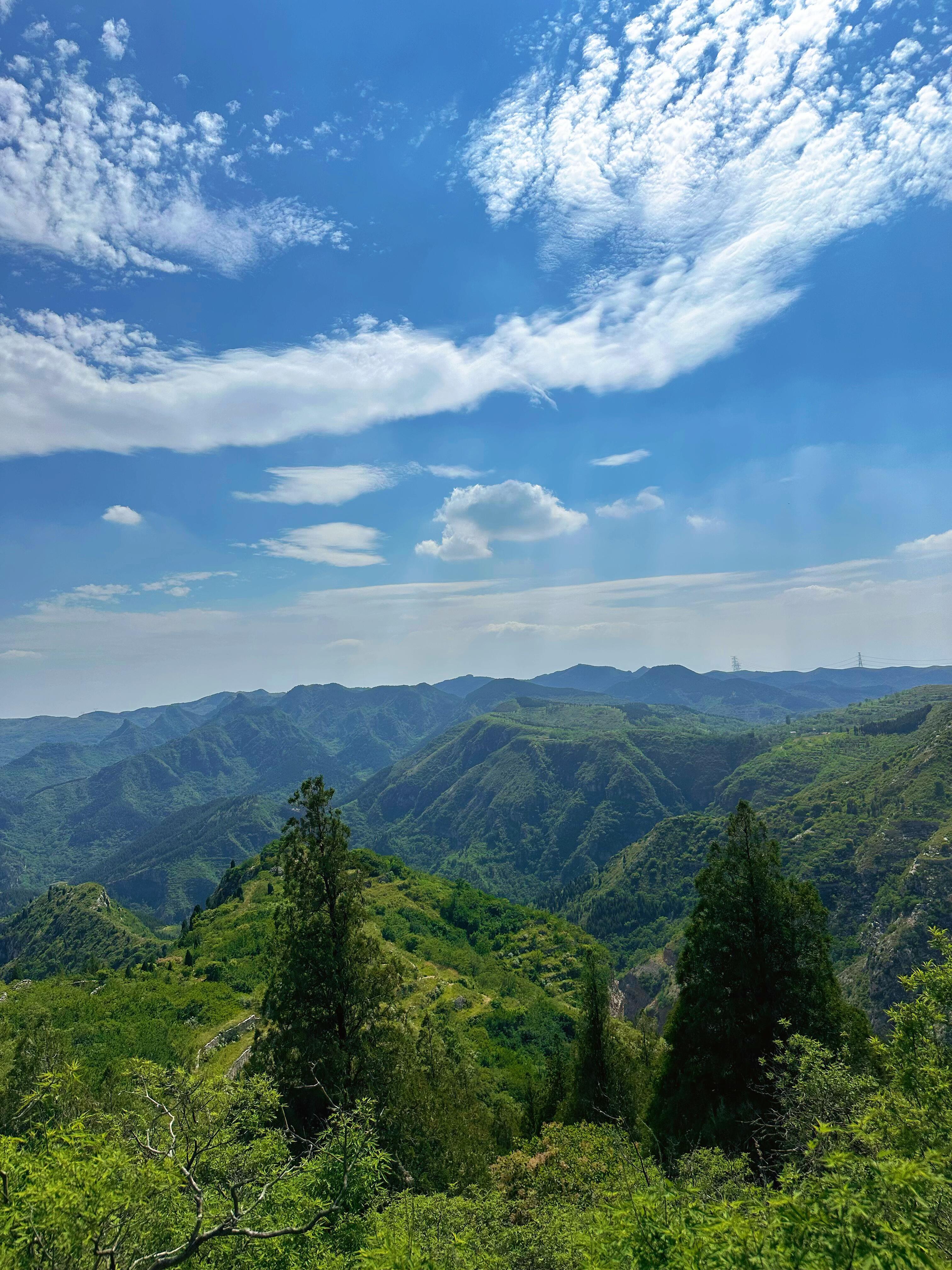 上山吃瓜才是正经事又解锁了一条新的徒步路线⛰️，虽然一路上坡走得腿酸🦵，但满眼