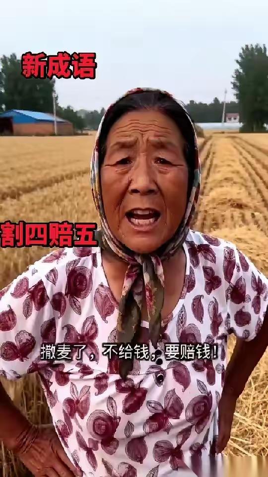 收割机圈里，有个不成文的规矩。活儿可以不好干，天可以热，但最怕的，是机器停了，人