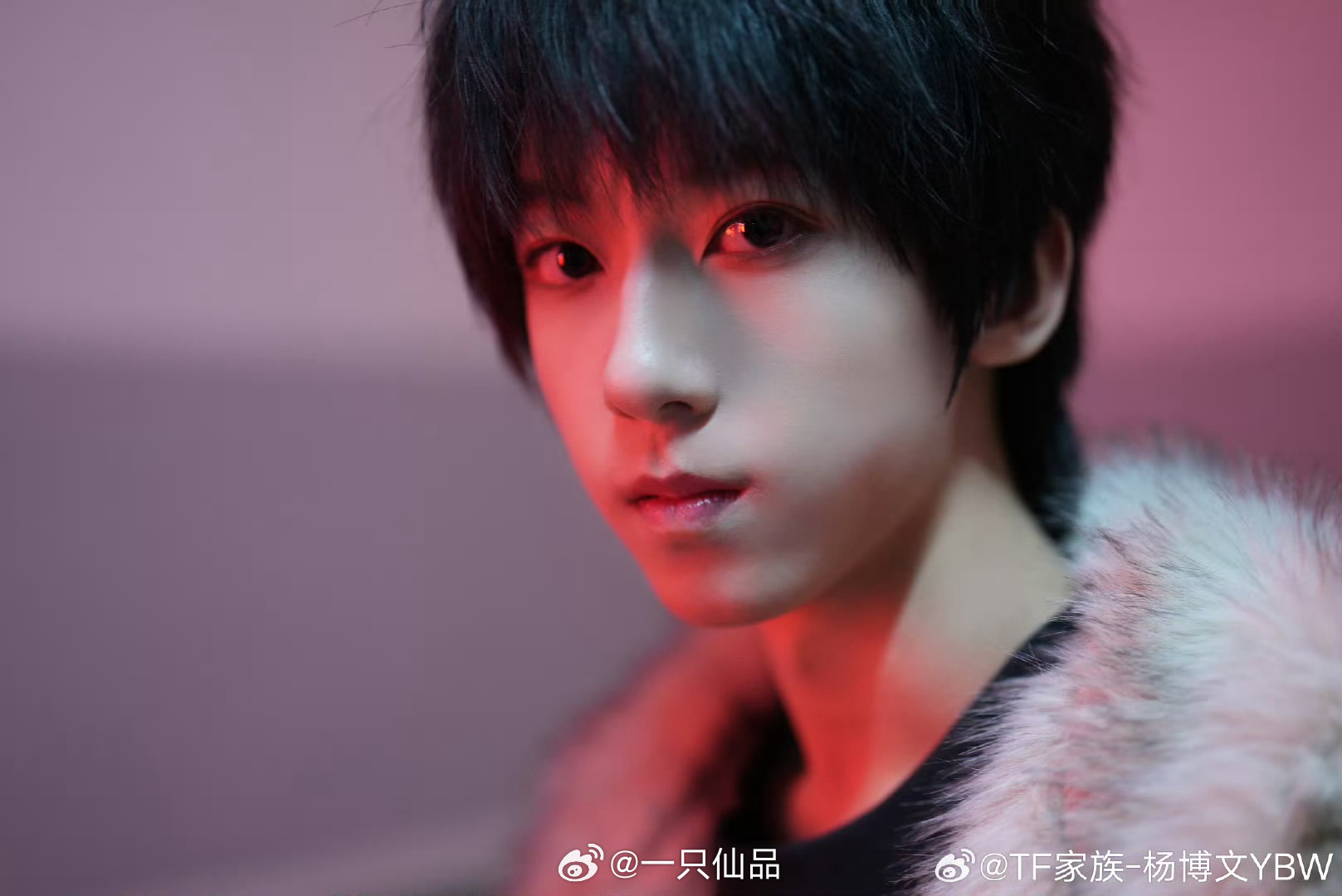 杨博文这张脸太伟大了太权威了杨博文 ​​​