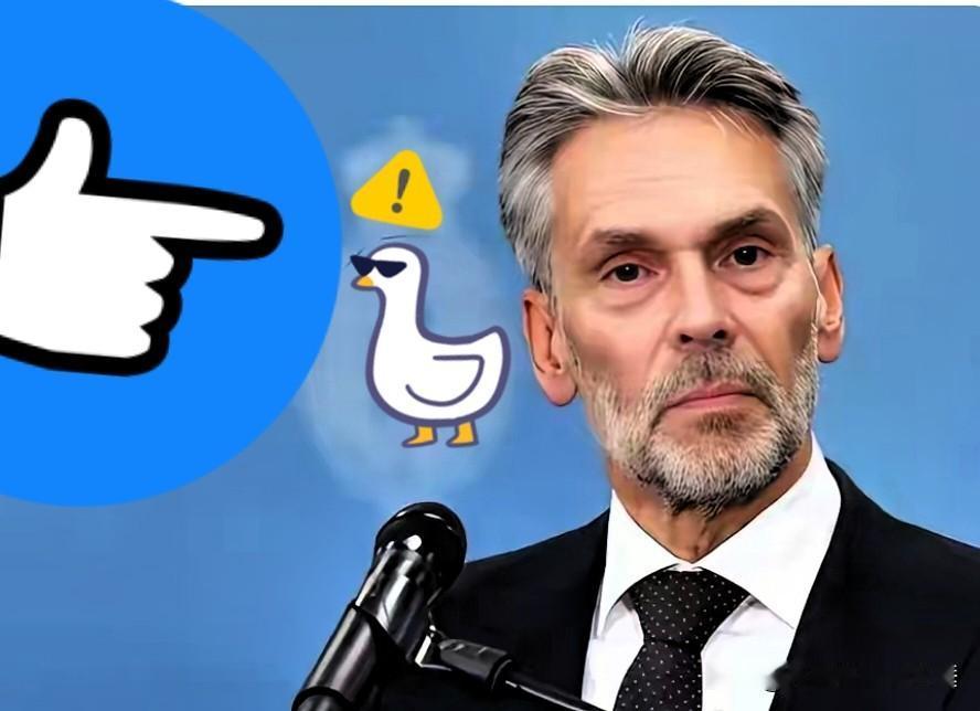 东方大国半导体产业发声理性，国产晶圆量产更需稳扎稳打！

此前国产28nm DU