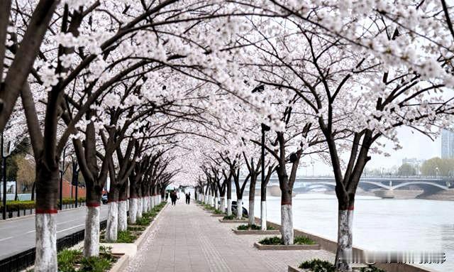 真的没想到，兰州南滨河路东端-读者大道旁围着那么多的人，都是来拍照发视频的呀。原
