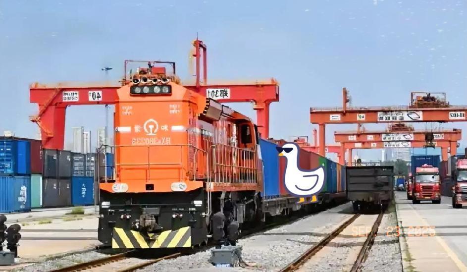 搬起石头先砸自己脚
波兰关闭边境口岸，想迎合美国，结果中欧班列被封锁，损失惨重，