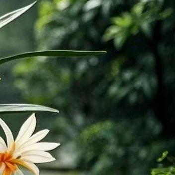 能把每一次失去变成每一项收获，把“可惜不是你，陪我到最后”的幽怨变成“感谢的是你