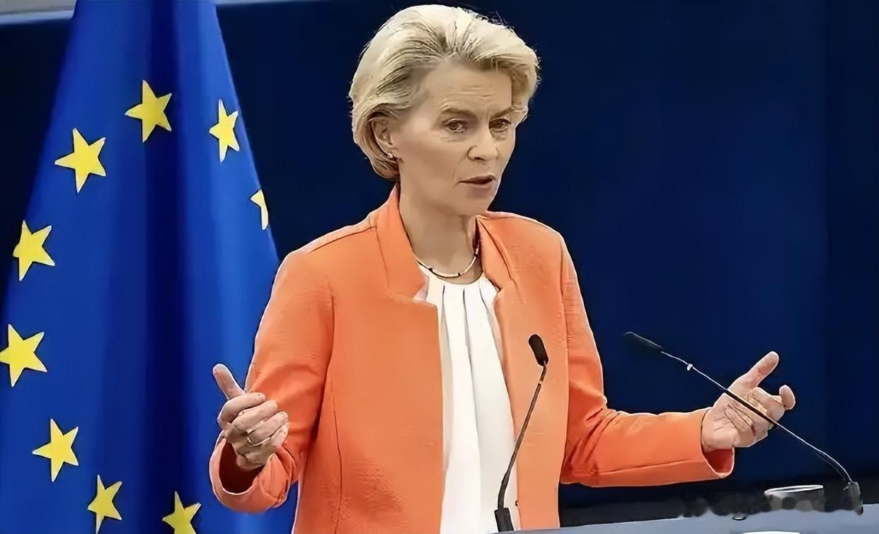 欧盟喊话中俄重塑秩序，中方回应亮了！这背后藏着什么大棋？
 
各位老铁，今天咱们