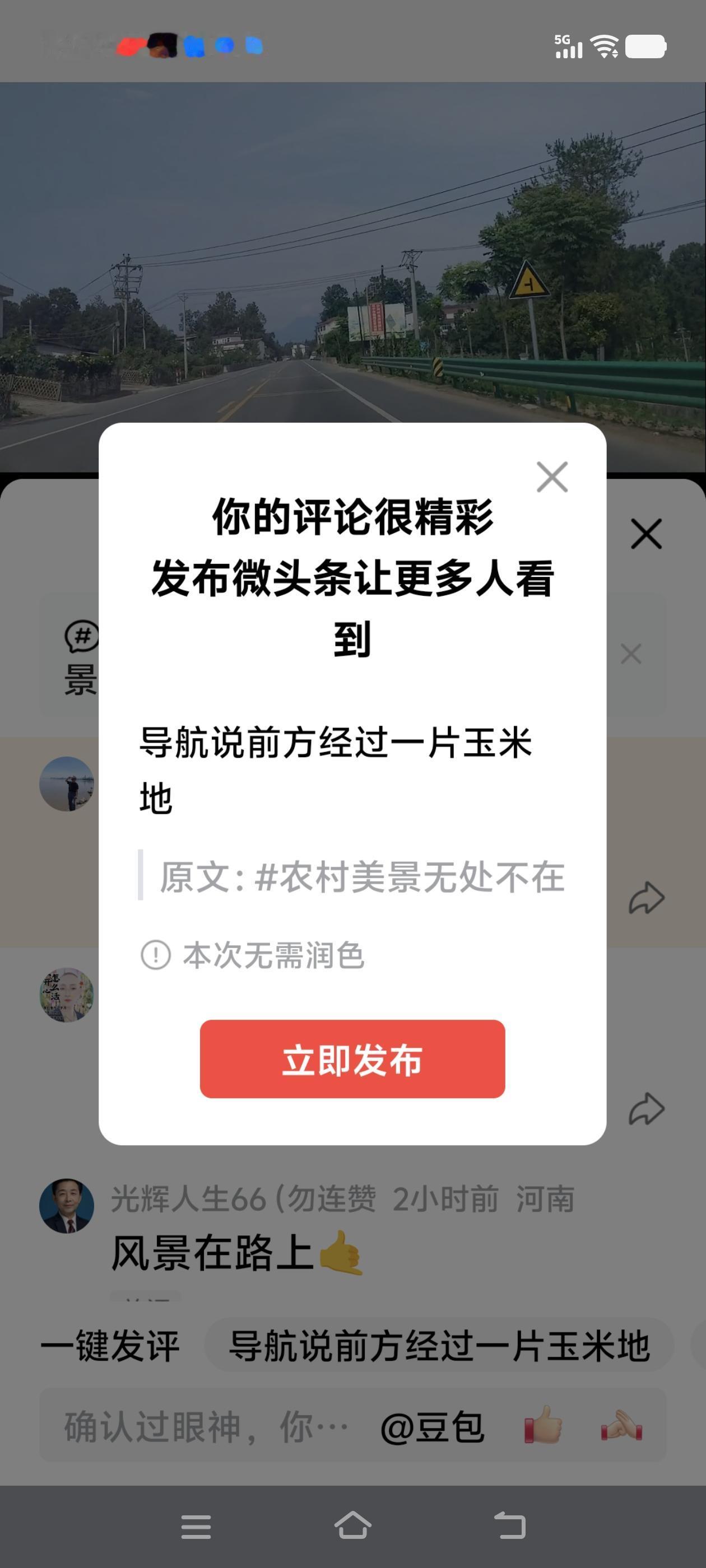 导航说前方经过一片玉米地