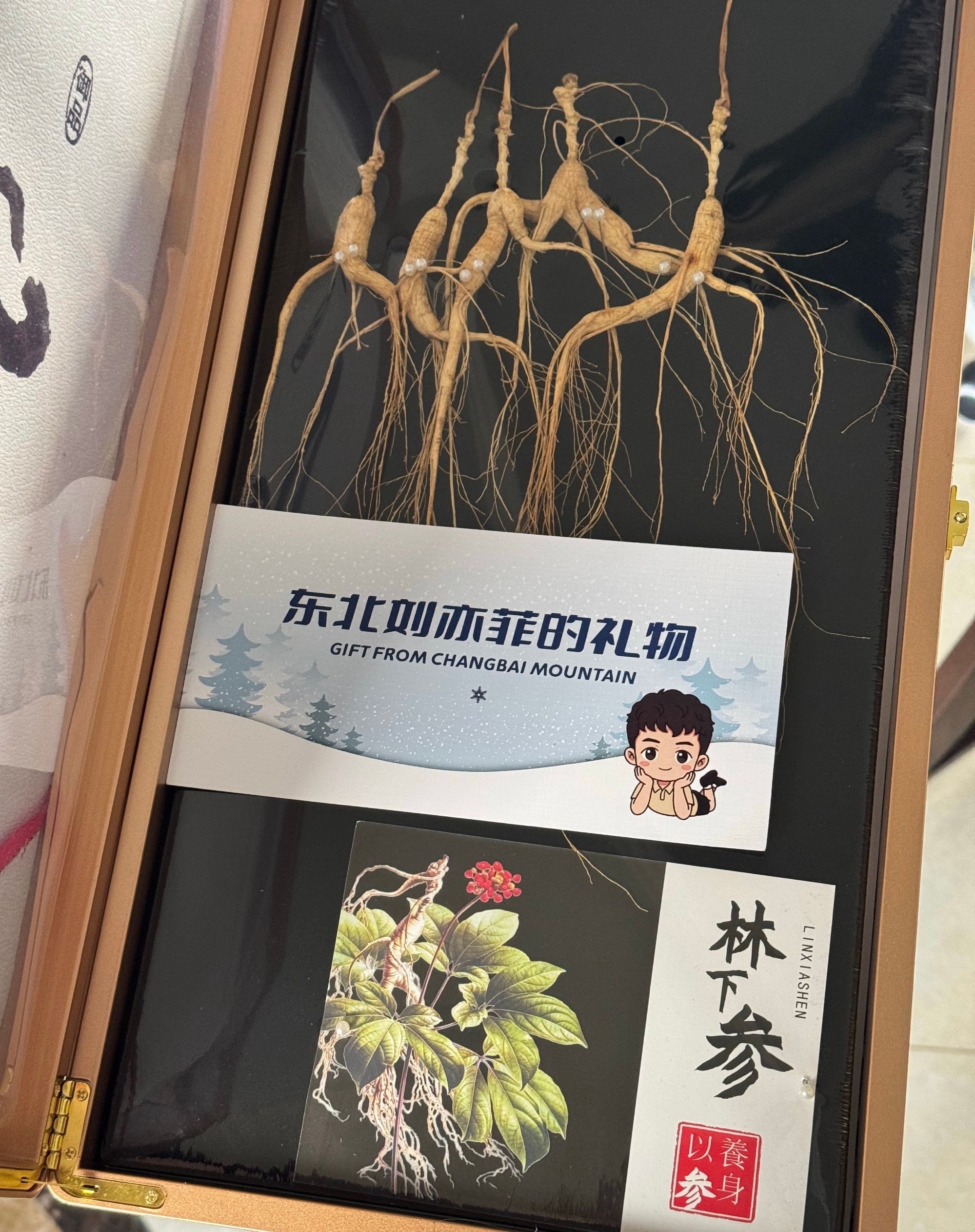 这上班之后，感觉自己气血不足感谢东北刘亦菲 年前送的人参，一会儿我就给他安排上 