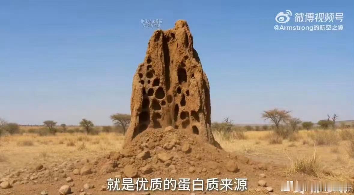seedance制作的人类进化史科普视频智能视频创作赋能知识普及，让专业内容通俗
