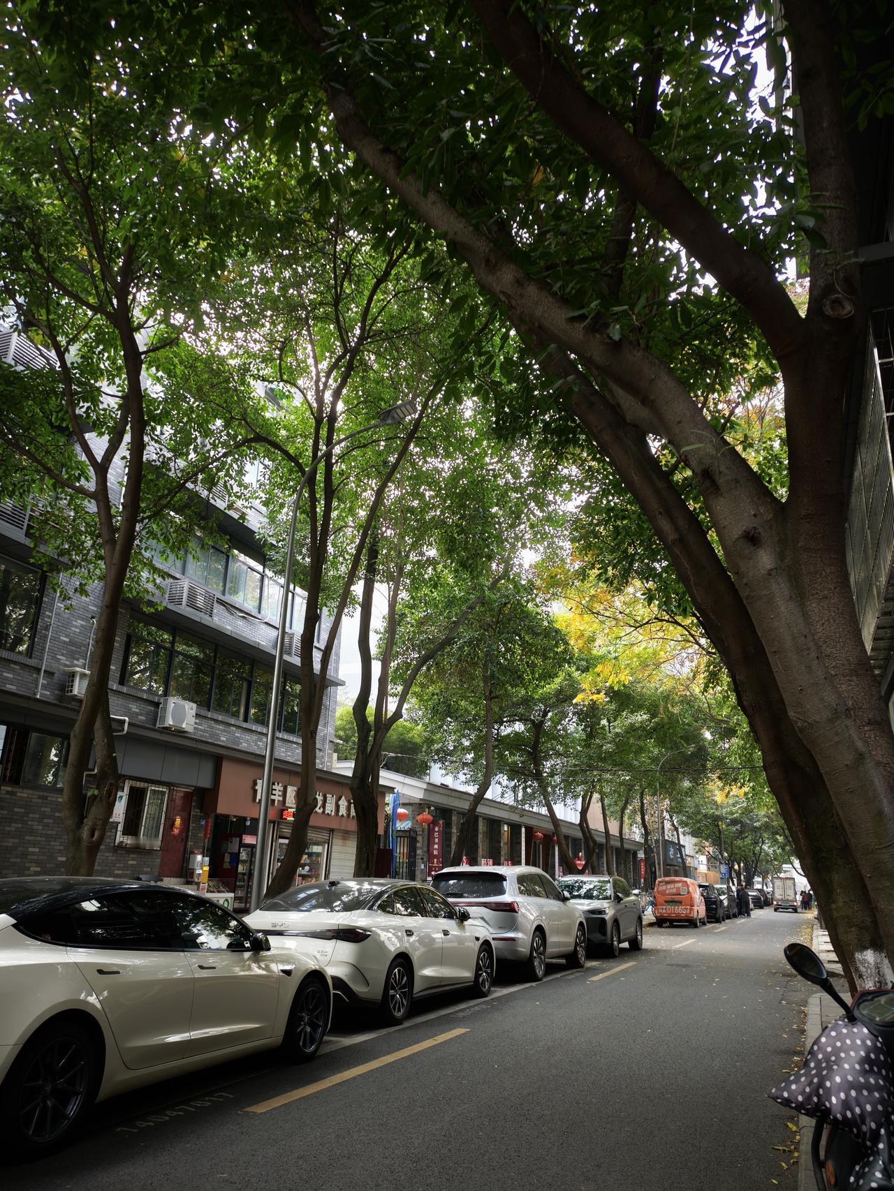 今天刚到成都，两个感觉: 一是见识到了南方小土豆，我这个一米六几的山东小个子来到