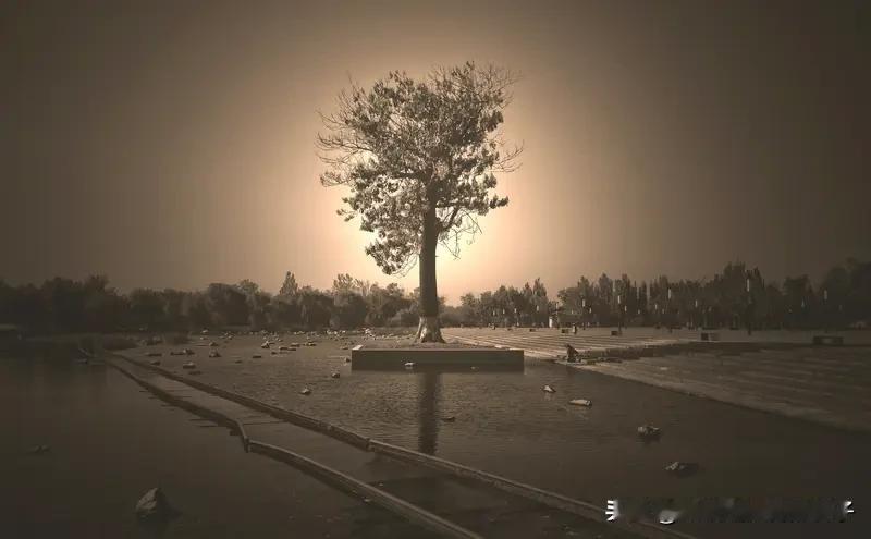 在面对生命无常时,你有何感悟? 生命无常，就像一场毫无预告的风暴。日常里，我们总