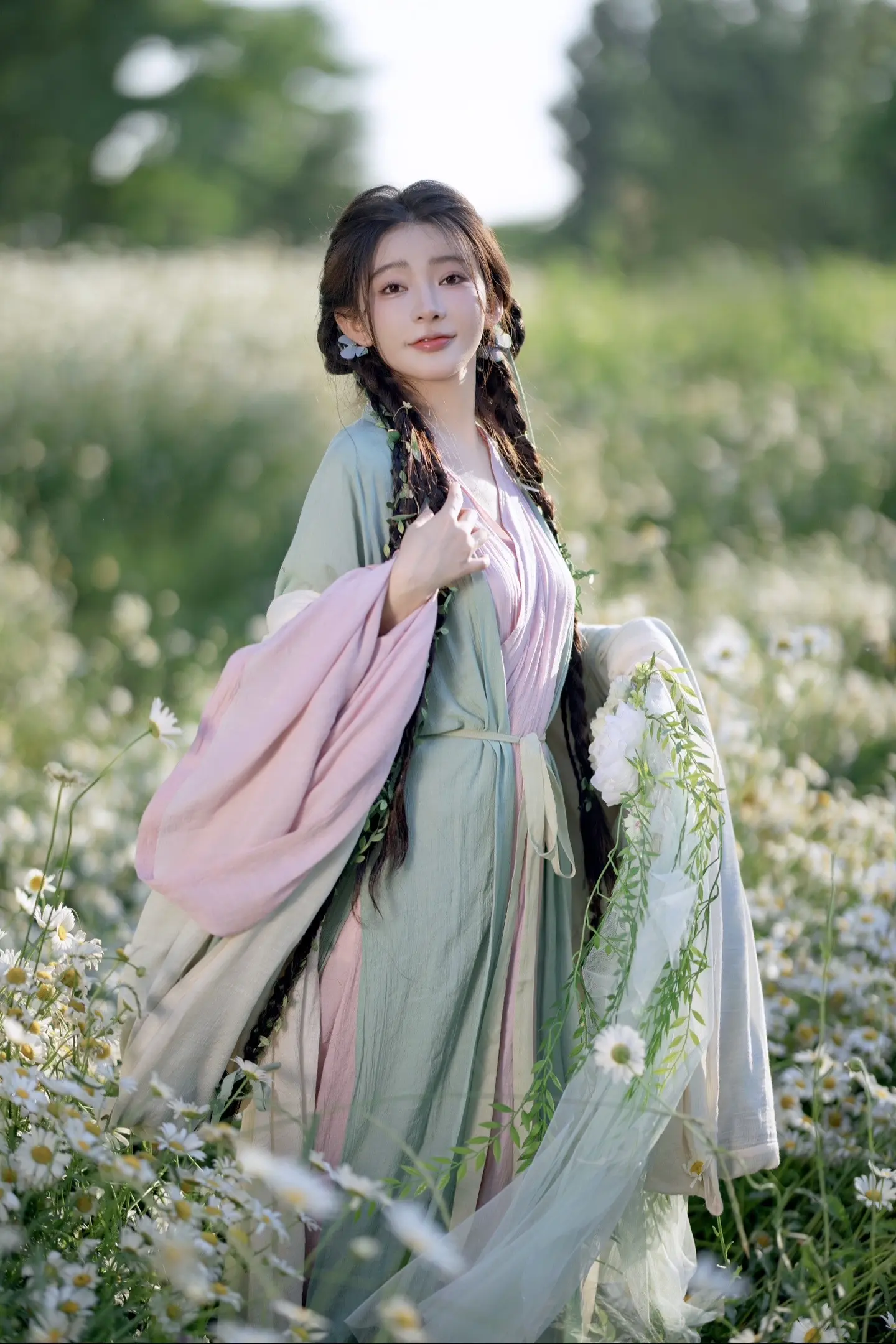 雏菊姑娘。