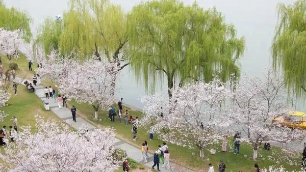 近日，江苏昆山一家公司发布的放三天带薪春假通知，在网络上掀起了一阵热议浪潮。在春