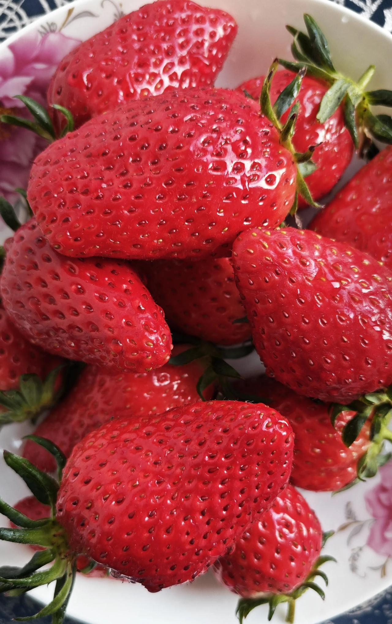 春日生活打卡季踏青赏花摘草莓🍓