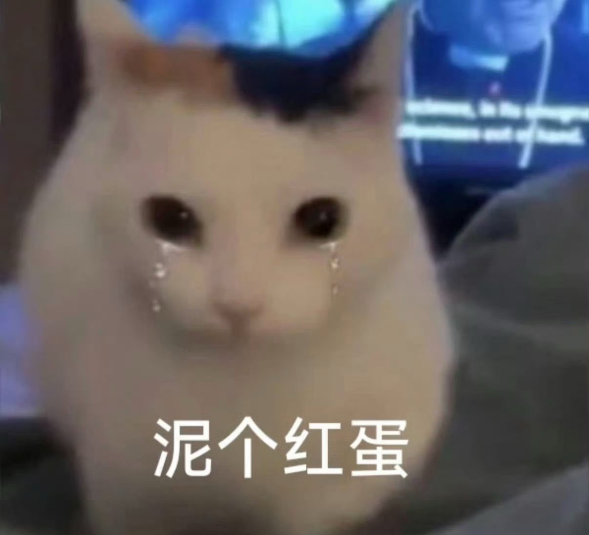 📣：喊话刘天跃李淑元 