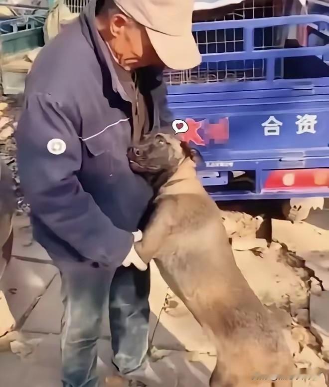 一位大爷要回老家 农村父母进城记 老人，收拾好行囊准备进城投奔儿子生活，这本是件