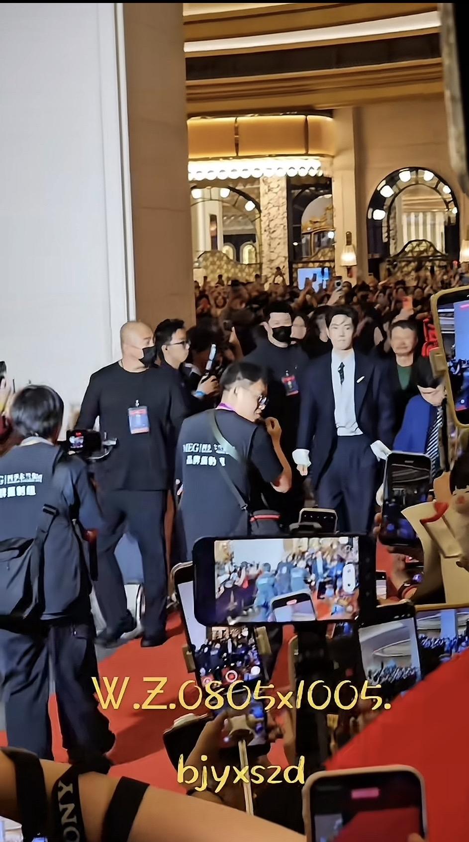 红毯明星亮相，闪光灯齐刷刷！📸✨