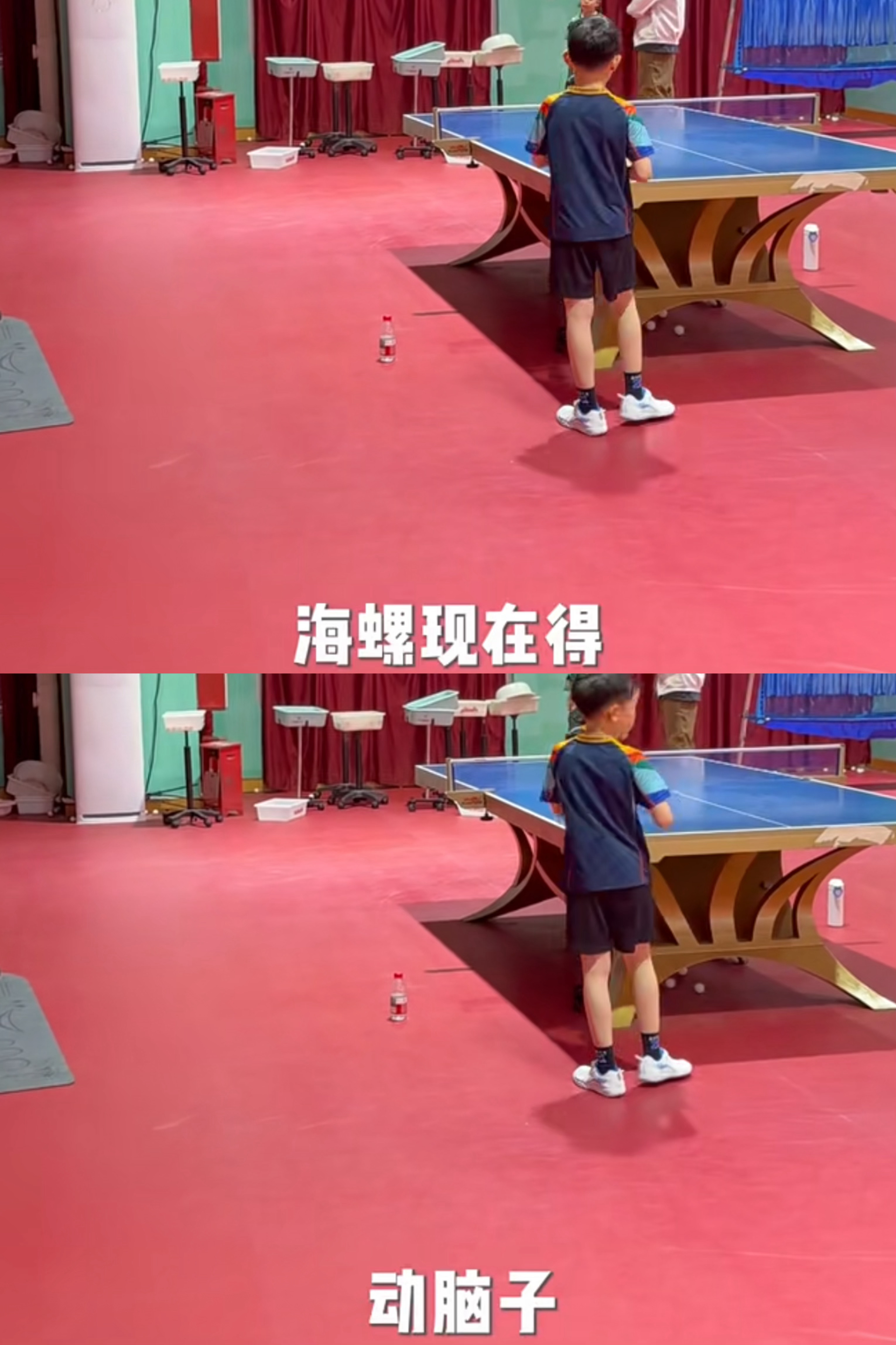 海苔给海螺做场外都很像他爸了“得动脑子” 