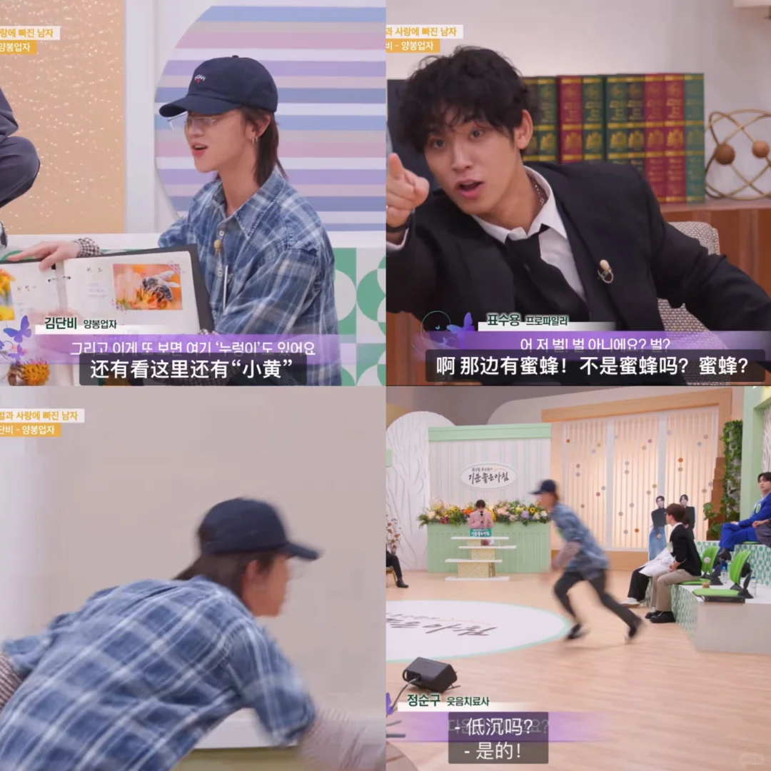 所以大叔跑去抓马蜂了🤣
