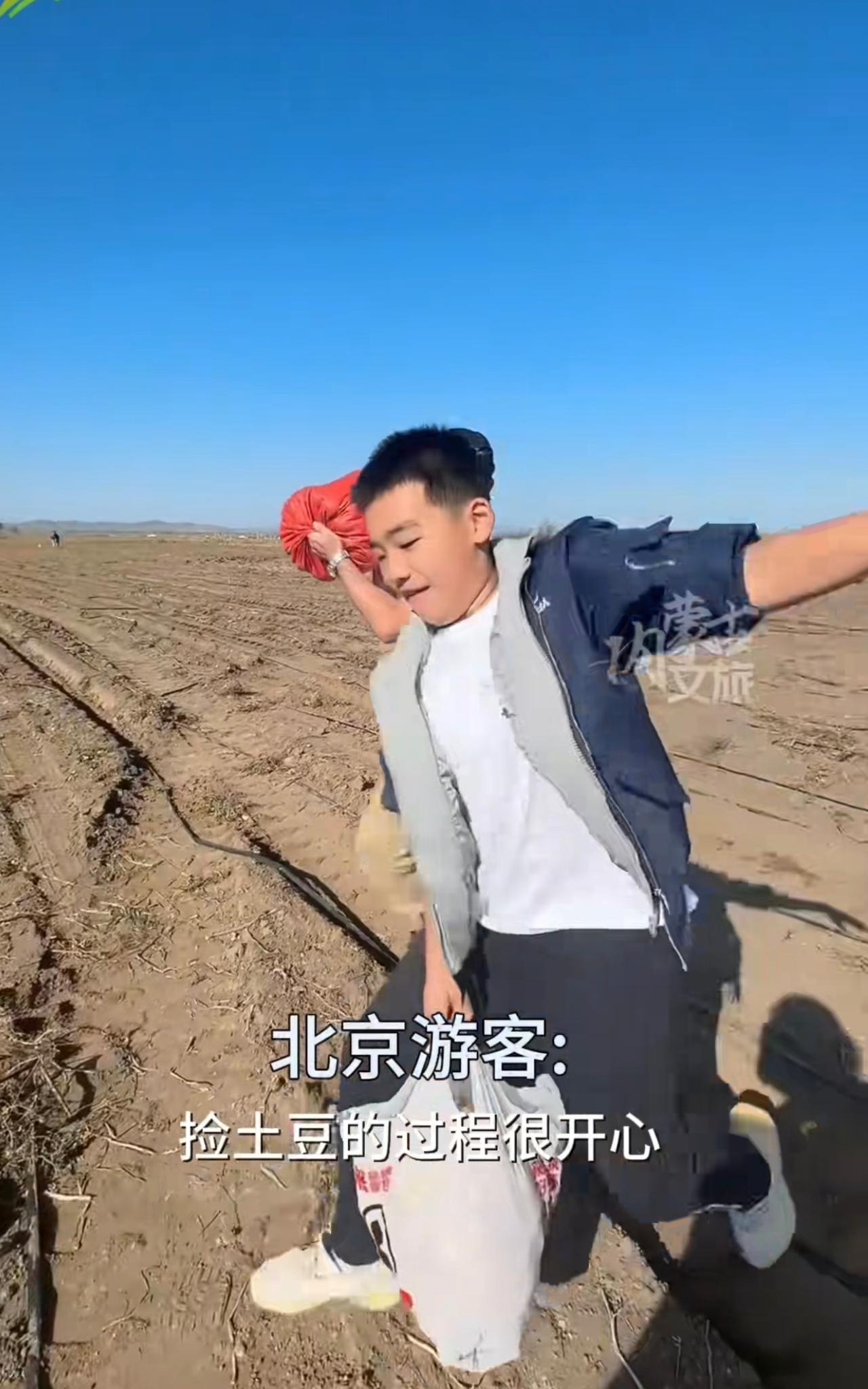 内蒙文旅万万没想到，免费捡土豆竟然爆火，同时引出了捡南瓜、白菜等新花样。其实之所