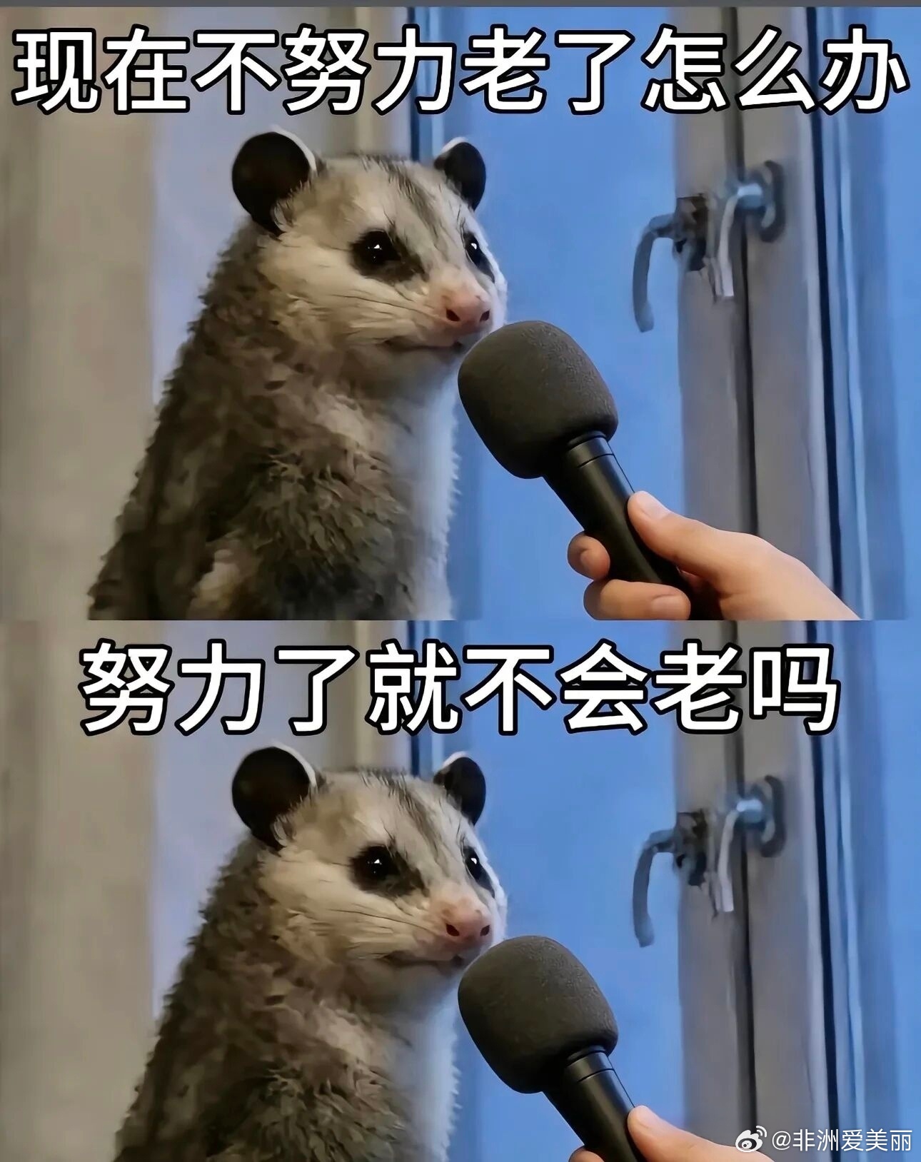娘儿俩的单休日：彤，我一想到明还得上班，我就浑身难受……我也一样啊，而且，刚才我