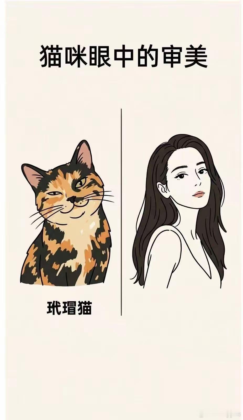 猫咪眼中的审美 ​​​