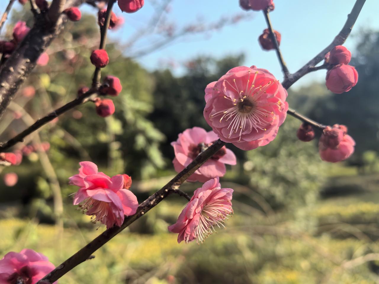 【热评】人民军队的退役军人才享受优待
国台办回应台退役军人可否免费进景区

台湾