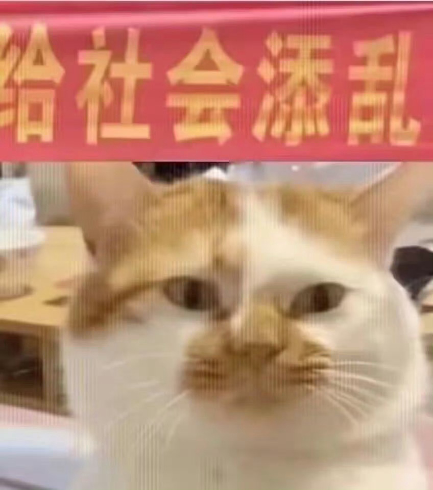 吧啦吧啦吧 您好，这里是深夜频道，请问点播什么 