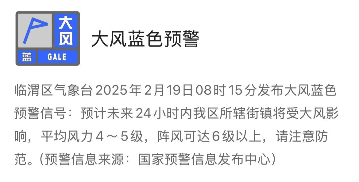 临渭区气象台2025年2月19日08时15分发布大风蓝色预警信号：预计未来24小