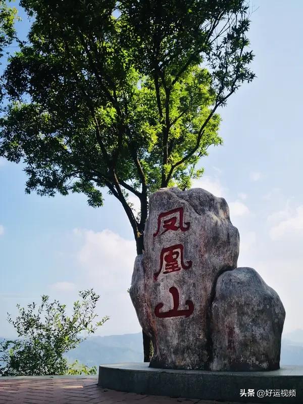 夏日生活打卡季 夏日游凤凰山，那体验简直绝了！一进山，满眼的翠绿就扑面而来，空气