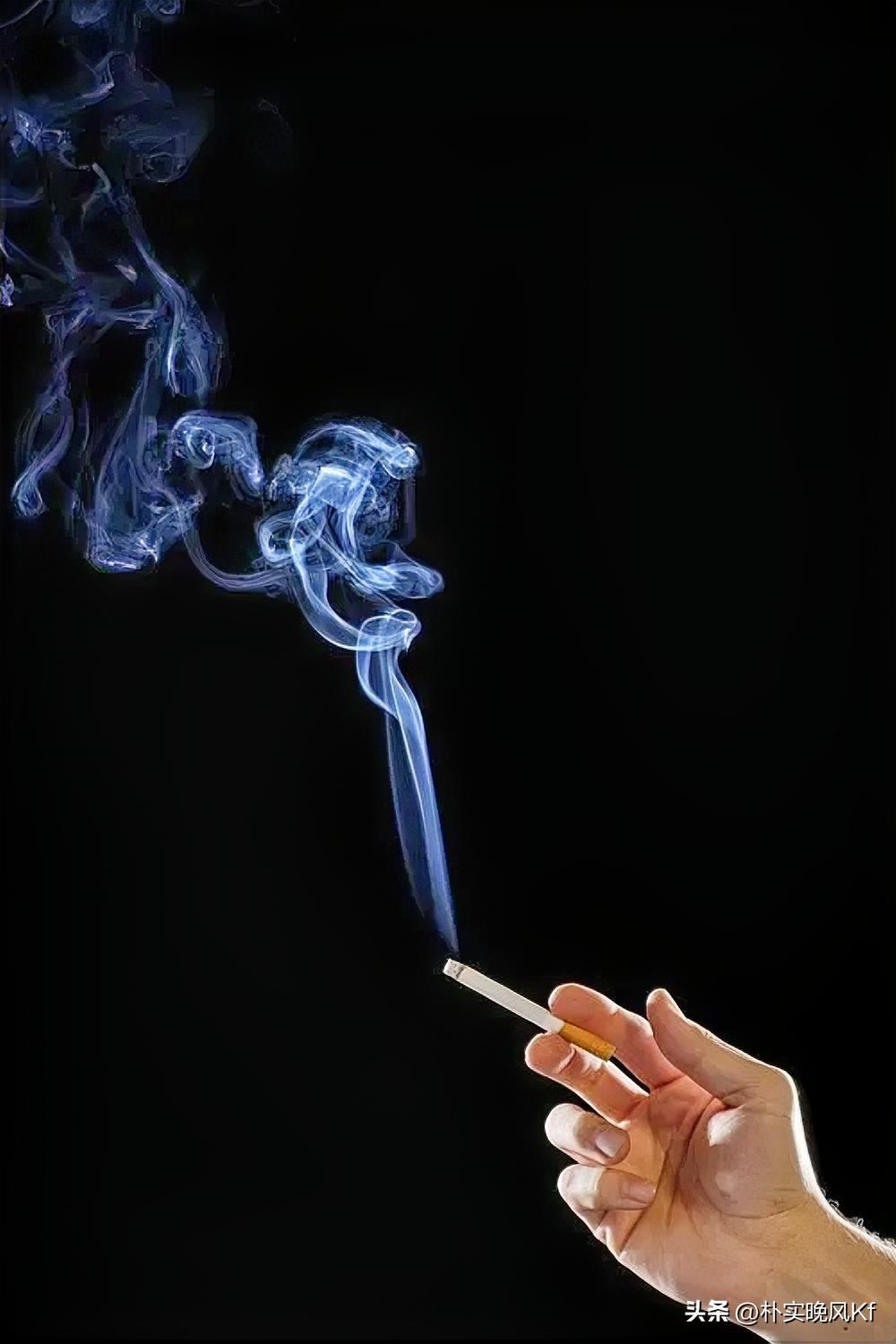 我超同意“活着和生活是两回事”。现在好多人每天一睁眼，面对的就是手机里的待办、消