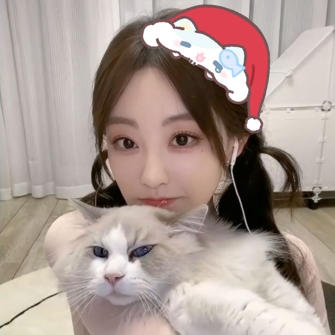 圣诞专属头像🎄