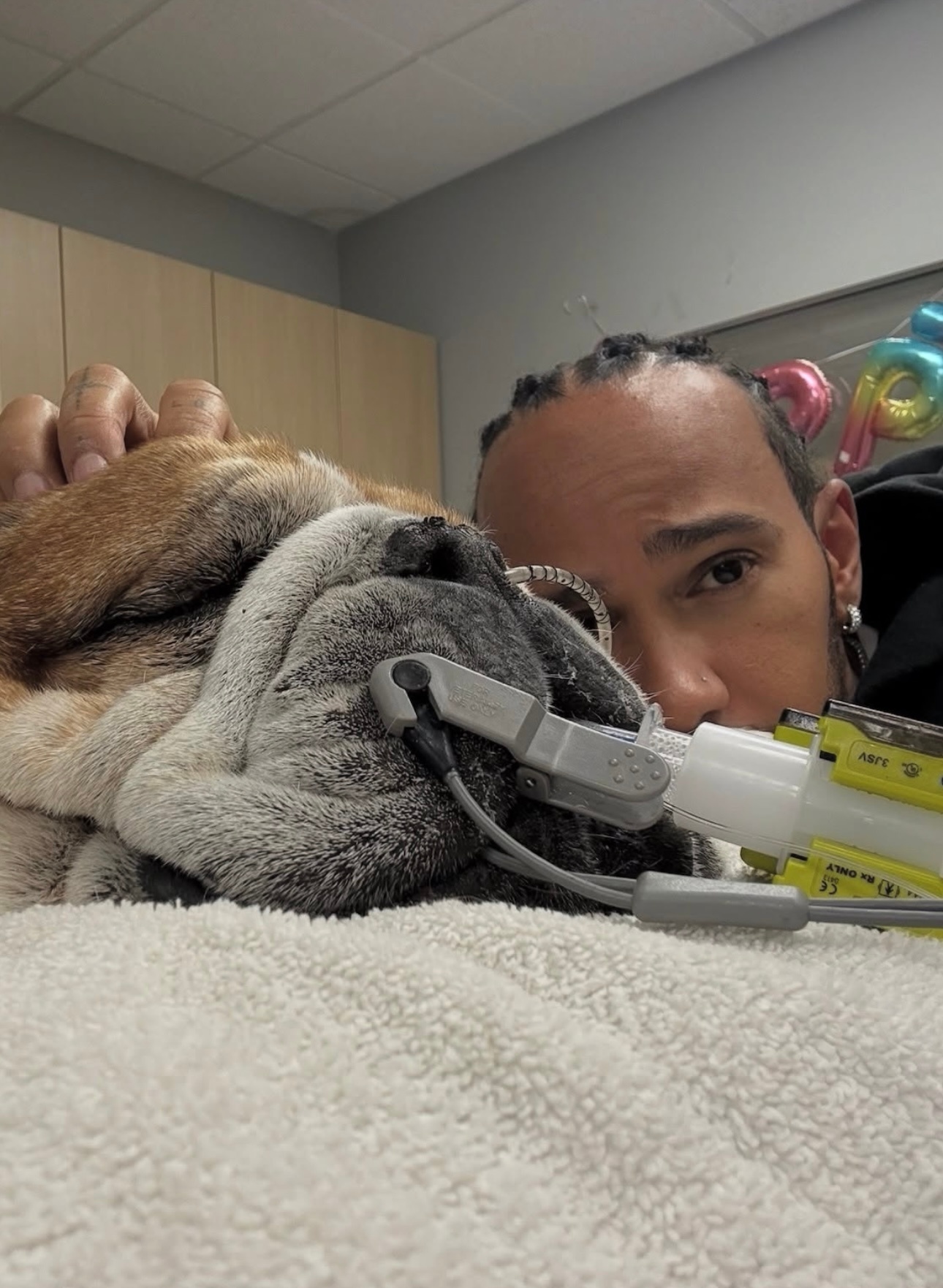汉密尔顿更新了爱犬Roscoe的最新情况“罗斯科再次患上了肺炎，并且呼吸十分困难