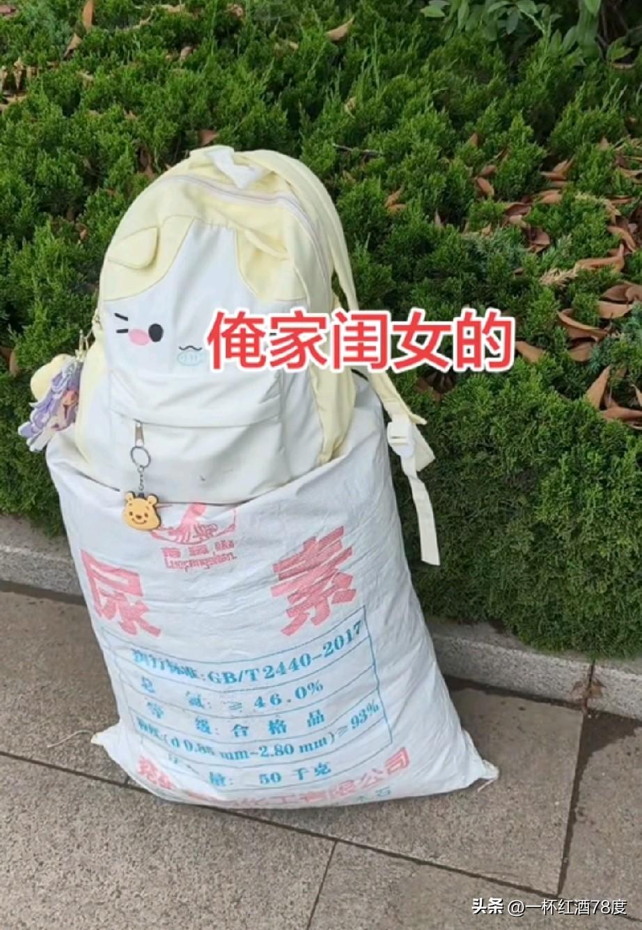 为什么是尿素袋子？好歹也得是史丹利，再不济也得是金正大呀！一点农村气息也没有体现