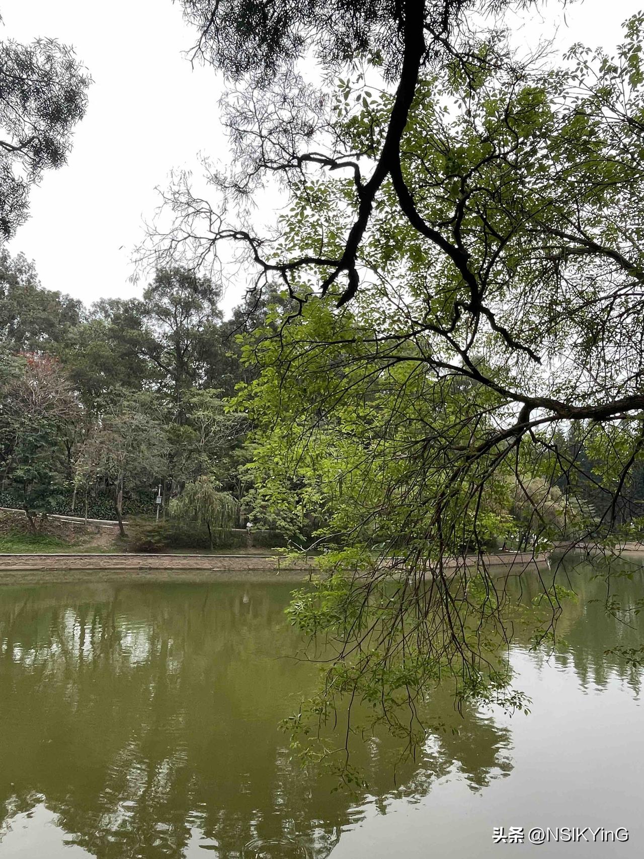 我的今日状态：😁轻松愉快
我这里的天气：🌤️多云