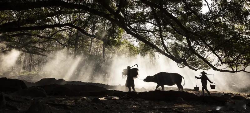想在工作中自由游走，得学会平衡与调节。很多上班族陷入“生存焦虑”，被工作困住，看