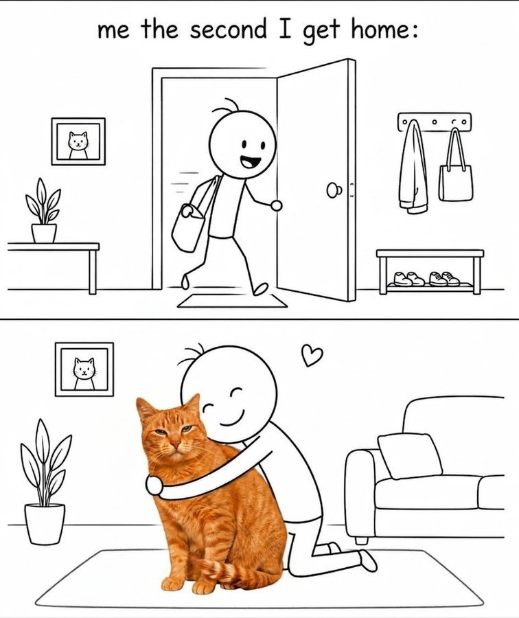 我回家了，咪！