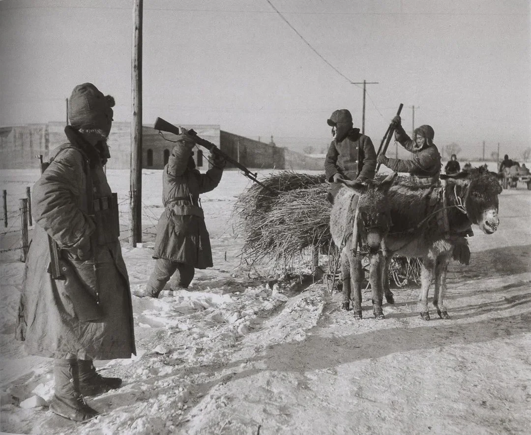 1948年，在沈阳农村的道路检查中，国民党士兵刺向村民的干草车。由于解...