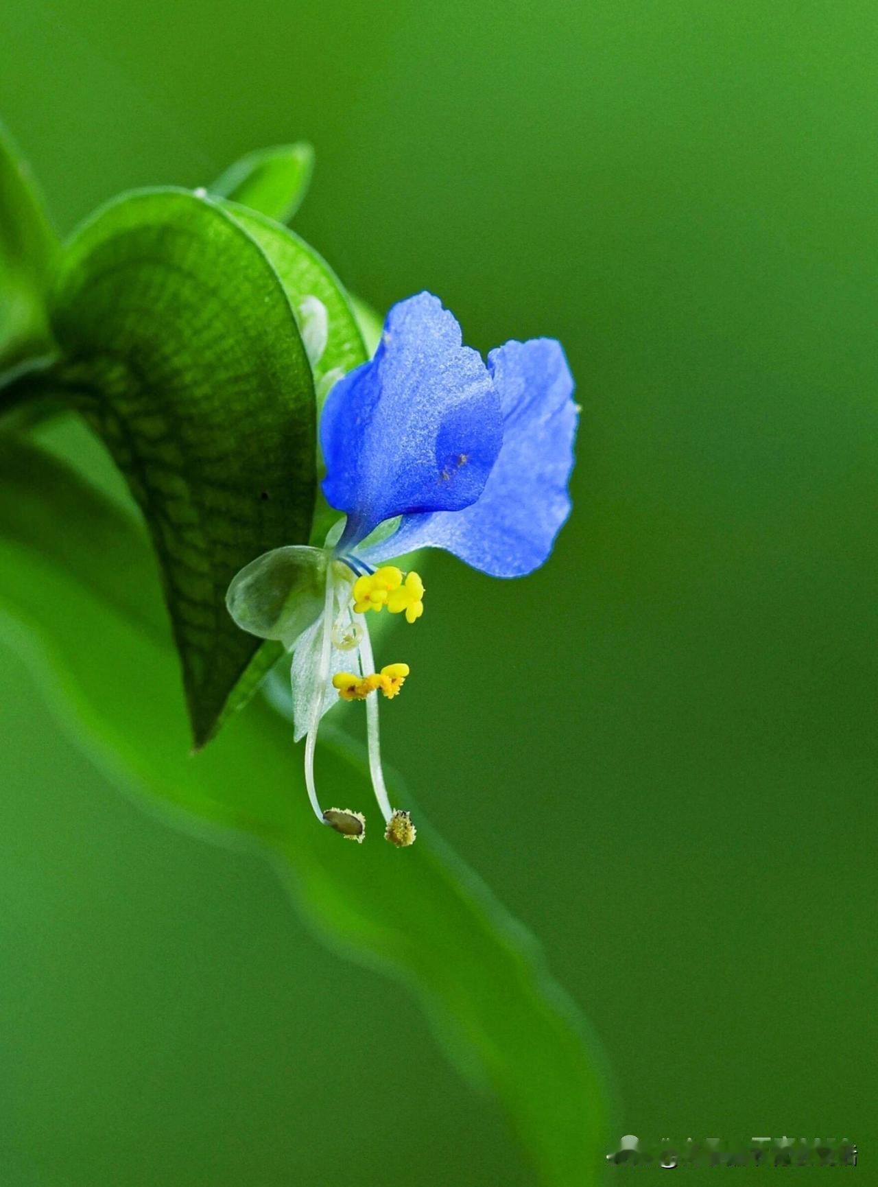 今日快讯，如同惊雷。国务院办公厅发文，实行政府投资项目决策终身负责制，对违规决策