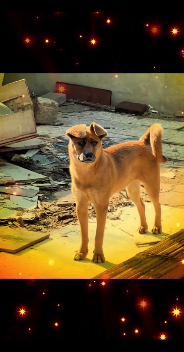 that's a great idea.