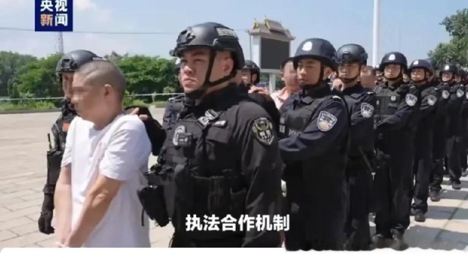 云南警方真了不起，一举打掉盘踞在缅北的电信网络诈骗窝点11个，被打掉抓获电信诈骗