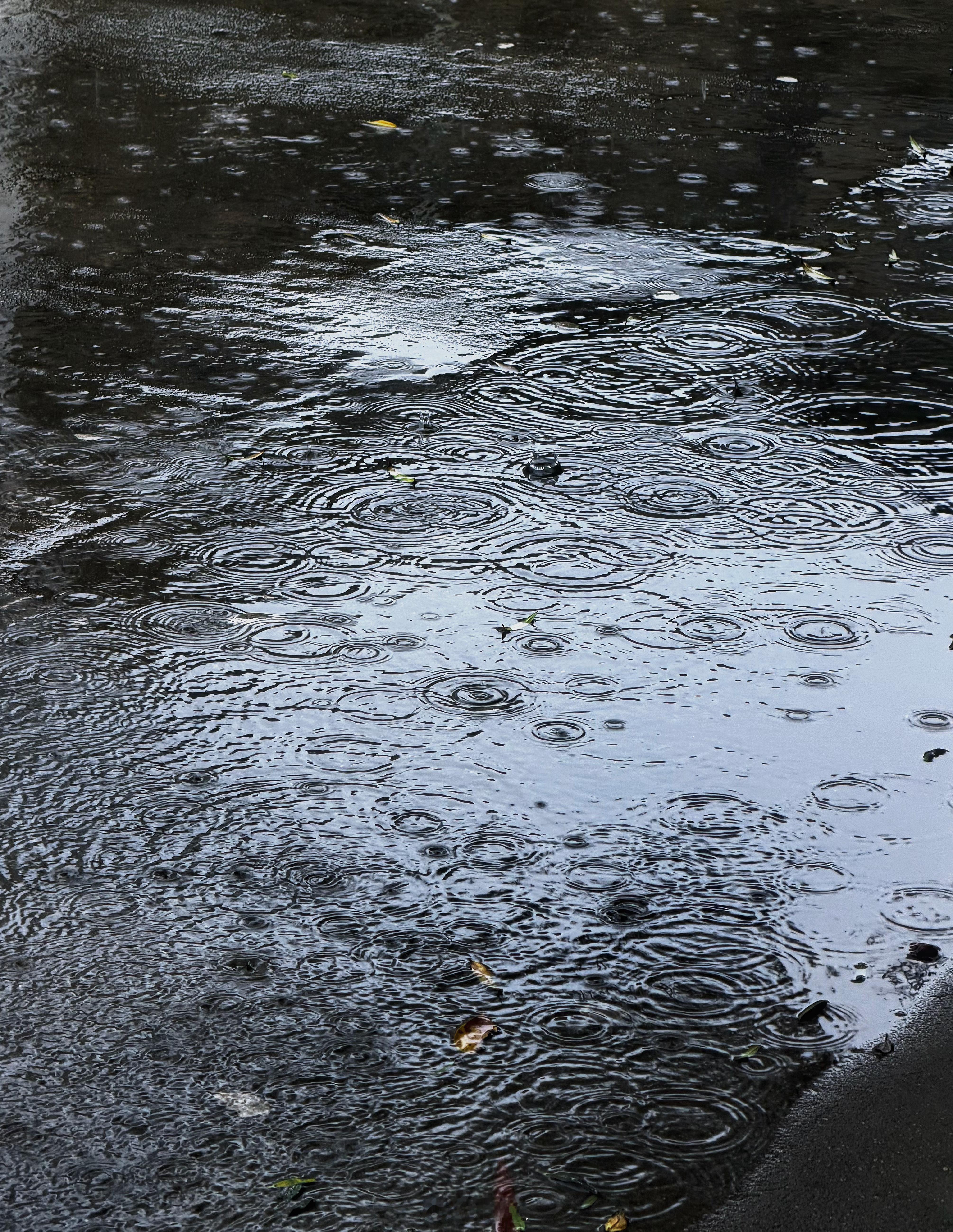 我们正需要一场瓢泼的雨，来冲洗这旧日的不喜。 