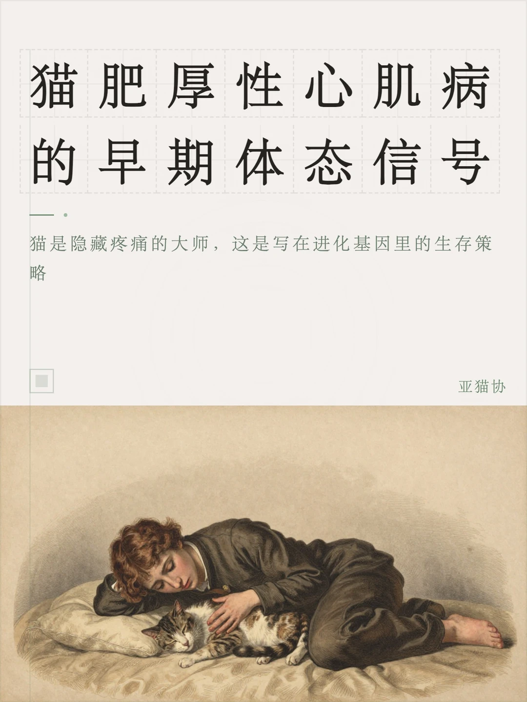 猫肥厚性心肌病的早期体态信号
