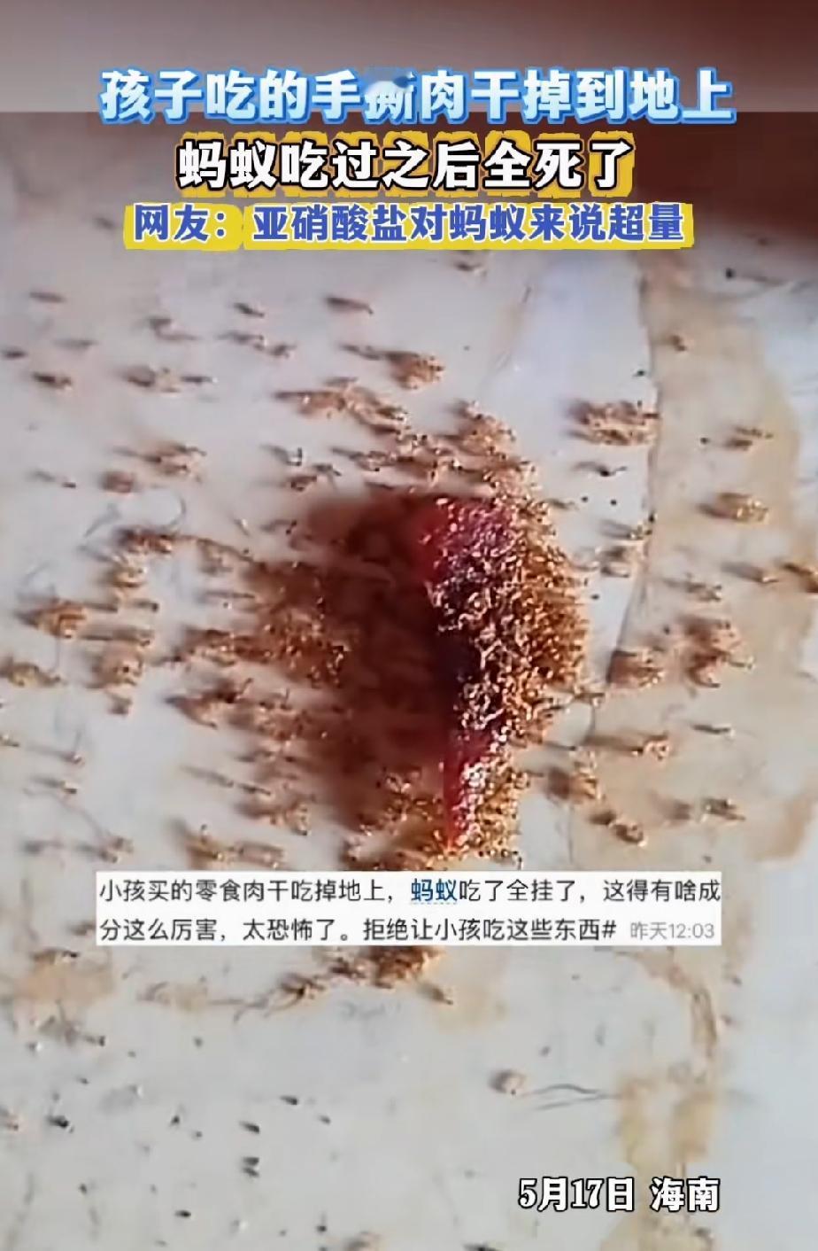 出乎意料！孩子的零食——手撕肉干竟然能杀死蚂蚁。

最近，一位家长发了段视频，孩